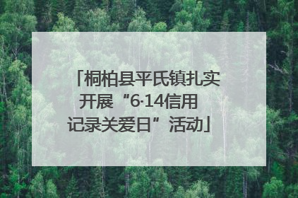 桐柏县平氏镇扎实开展“6·14信用记录关爱日”活动