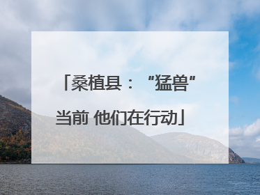 桑植县：“猛兽”当前 他们在行动