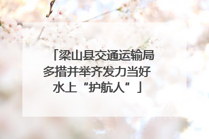 梁山县交通运输局多措并举齐发力当好水上“护航人”