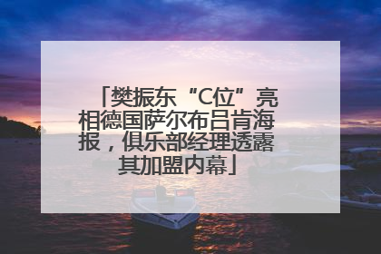 樊振东“C位”亮相德国萨尔布吕肯海报，俱乐部经理透露其加盟内幕