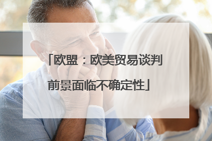 欧盟：欧美贸易谈判前景面临不确定性