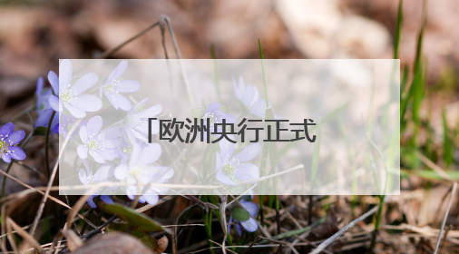 欧洲央行正式批准保加利亚加入欧元区