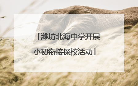 潍坊北海中学开展小初衔接探校活动