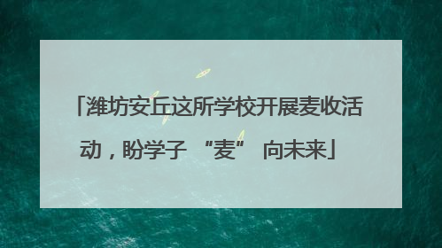 潍坊安丘这所学校开展麦收活动，盼学子 “麦” 向未来