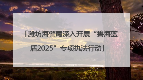 潍坊海警局深入开展“碧海蓝盾2025”专项执法行动