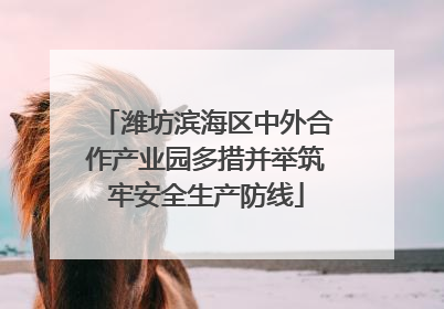 潍坊滨海区中外合作产业园多措并举筑牢安全生产防线