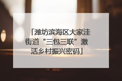 潍坊滨海区大家洼街道“三包三联”激活乡村振兴密码