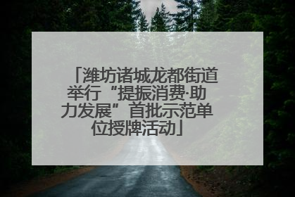 潍坊诸城龙都街道举行“提振消费·助力发展”首批示范单位授牌活动