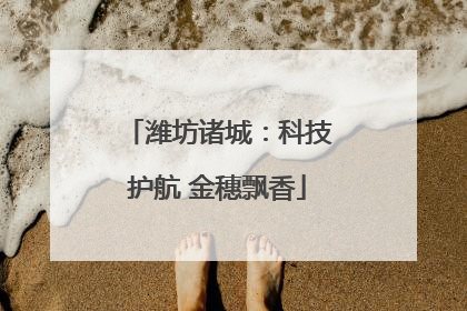 潍坊诸城：科技护航 金穗飘香
