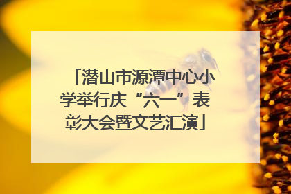 潜山市源潭中心小学举行庆“六一”表彰大会暨文艺汇演