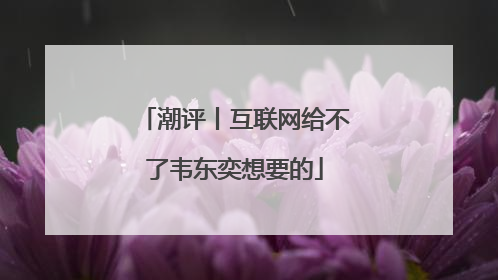 潮评丨互联网给不了韦东奕想要的