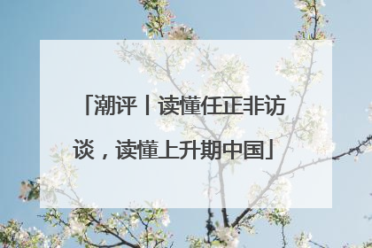 潮评丨读懂任正非访谈，读懂上升期中国