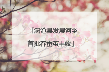 澜沧县发展河乡首批春蚕茧丰收