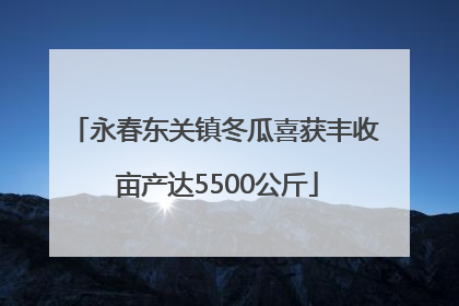 永春东关镇冬瓜喜获丰收 亩产达5500公斤