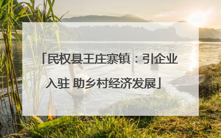 民权县王庄寨镇：引企业入驻 助乡村经济发展