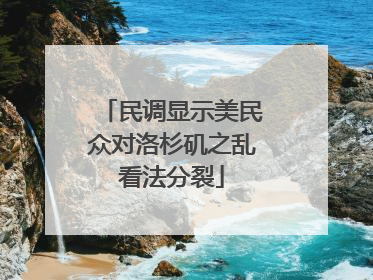 民调显示美民众对洛杉矶之乱看法分裂