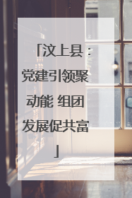 汶上县：党建引领聚动能 组团发展促共富