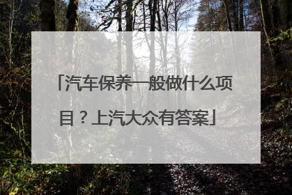 汽车保养一般做什么项目？上汽大众有答案