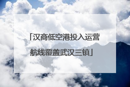 汉商低空港投入运营 航线覆盖武汉三镇