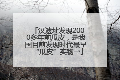 汉遗址发现2000多年前瓜皮，是我国目前发现时代最早“瓜皮”实物→