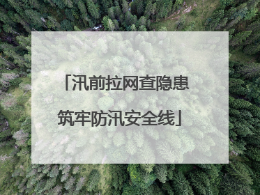 汛前拉网查隐患 筑牢防汛安全线