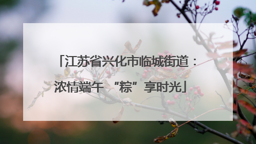 江苏省兴化市临城街道：浓情端午 “粽”享时光