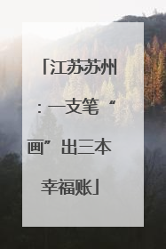 江苏苏州：一支笔“画”出三本幸福账