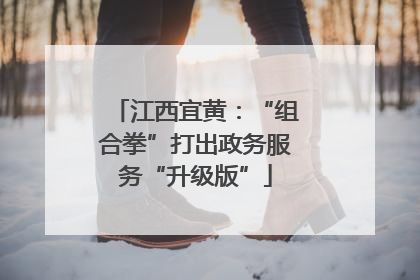 江西宜黄：“组合拳”打出政务服务“升级版”