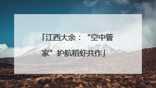 江西大余：“空中管家”护航稻虾共作