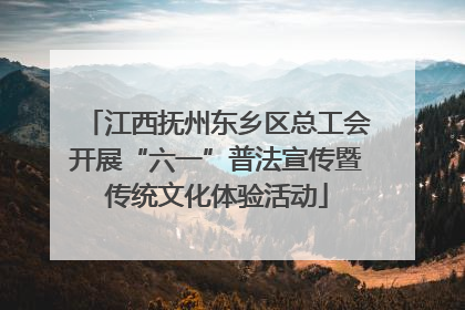 江西抚州东乡区总工会开展“六一”普法宣传暨传统文化体验活动