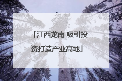 江西龙南 吸引投资打造产业高地