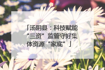 汤阴县：科技赋能“三资”监管守好集体资源“家底”