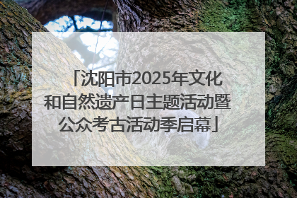 沈阳市2025年文化和自然遗产日主题活动暨公众考古活动季启幕