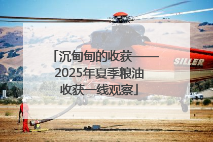 沉甸甸的收获——2025年夏季粮油收获一线观察