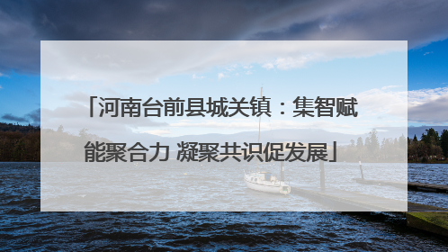 河南台前县城关镇：集智赋能聚合力 凝聚共识促发展