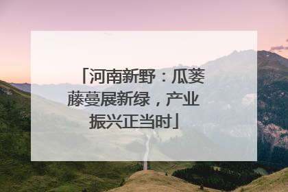 河南新野：瓜蒌藤蔓展新绿，产业振兴正当时