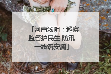 河南汤阴：巡察监督护民生 防汛一线筑安澜