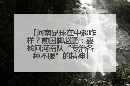 河南足球在中超咋样？前国脚赵鹏：要找回河南队“专治各种不服”的精神