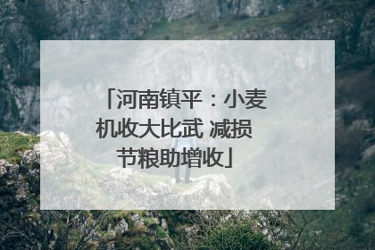 河南镇平：小麦机收大比武 减损节粮助增收