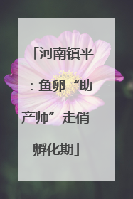 河南镇平：鱼卵“助产师”走俏孵化期