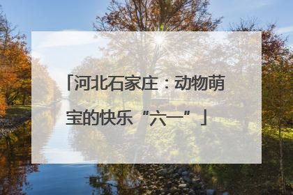 河北石家庄：动物萌宝的快乐“六一”