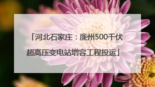 河北石家庄：廉州500千伏超高压变电站增容工程投运