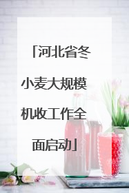 河北省冬小麦大规模机收工作全面启动