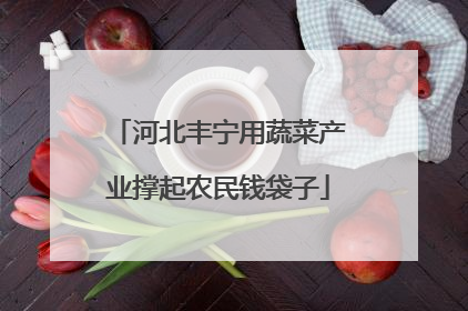 河北丰宁用蔬菜产业撑起农民钱袋子