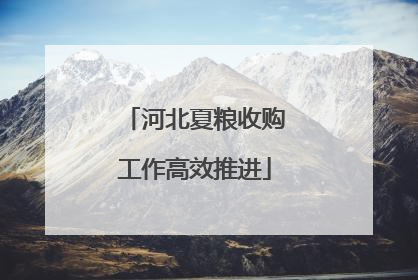 河北夏粮收购工作高效推进