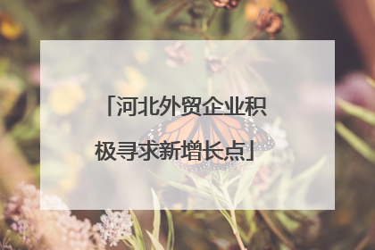 河北外贸企业积极寻求新增长点