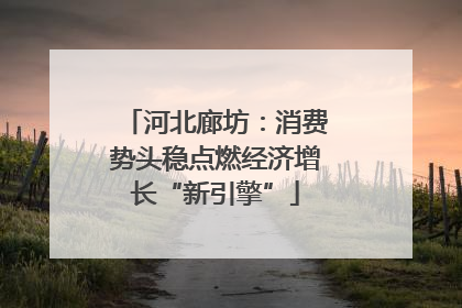 河北廊坊：消费势头稳点燃经济增长“新引擎”