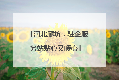 河北廊坊：驻企服务站贴心又暖心