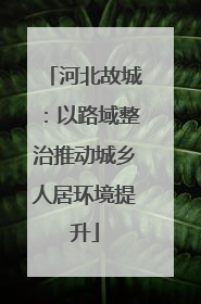 河北故城：以路域整治推动城乡人居环境提升