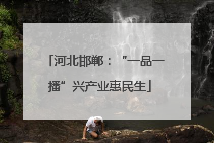 河北邯郸：“一品一播”兴产业惠民生